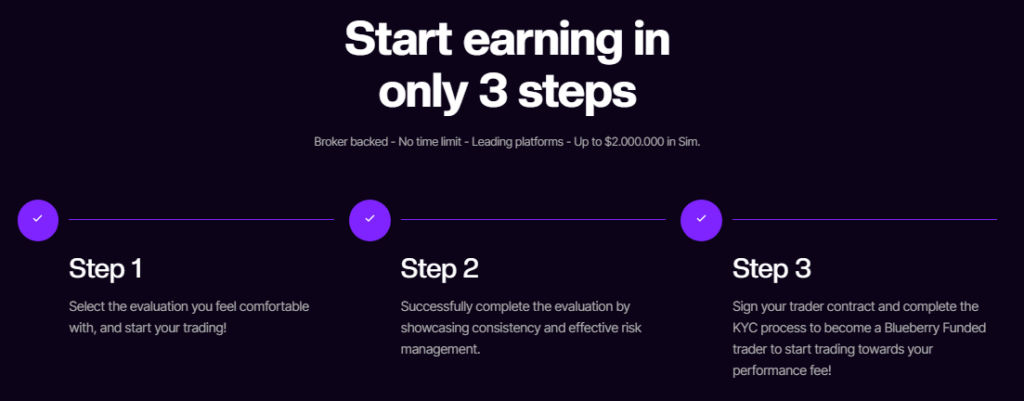 Blueberry Funded Review