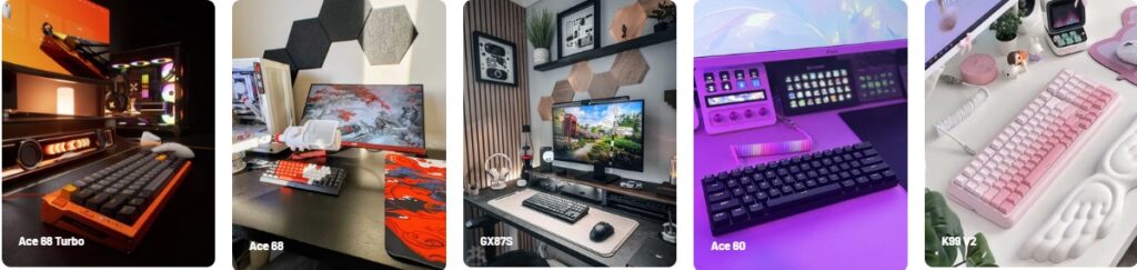 Complete Range of Mchose Products: